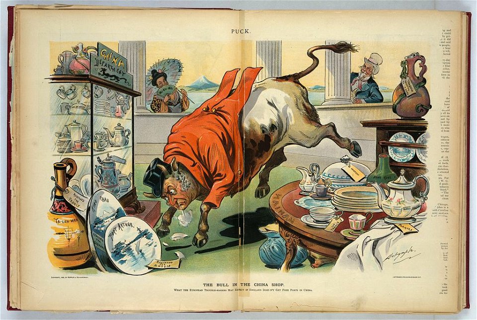 The bull in the China shop - Dalrymple. LCCN2012647527