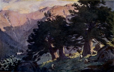 The Borrowdale Yews - The English Lakes - A. Heaton Cooper. Free illustration for personal and commercial use.