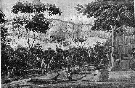 The capture of ruapekapeka