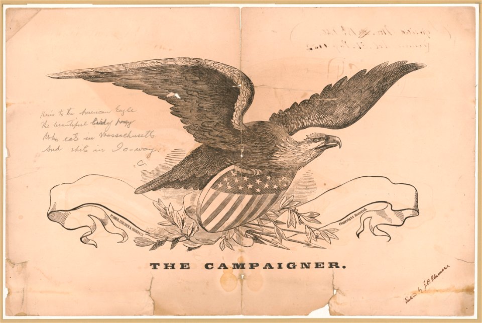 The campaigner LCCN96515831
