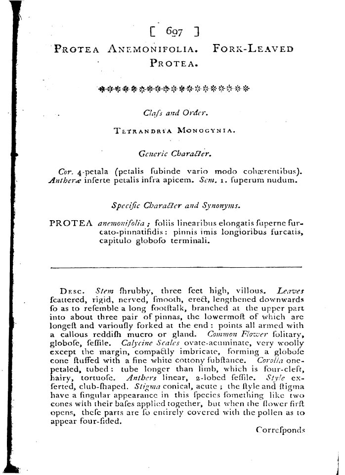 The Botanical Magazine-Vol 19 text 698