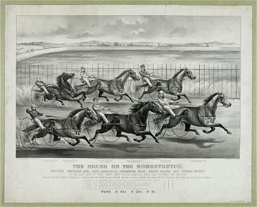The brush on the homestretch- Between American girl, Lucy, Bashaw Jr., Goldsmith Maid, Rhode Island and George Wilkes. In the last heat of their great trot on the prospect park fair grounds LCCN90713020