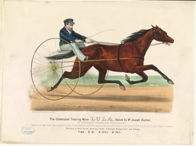 The celebrated trotting mare Lula, owned by Mr. Joseph Harker- By Alexander's Norman, dam thoroughbred LCCN90715686