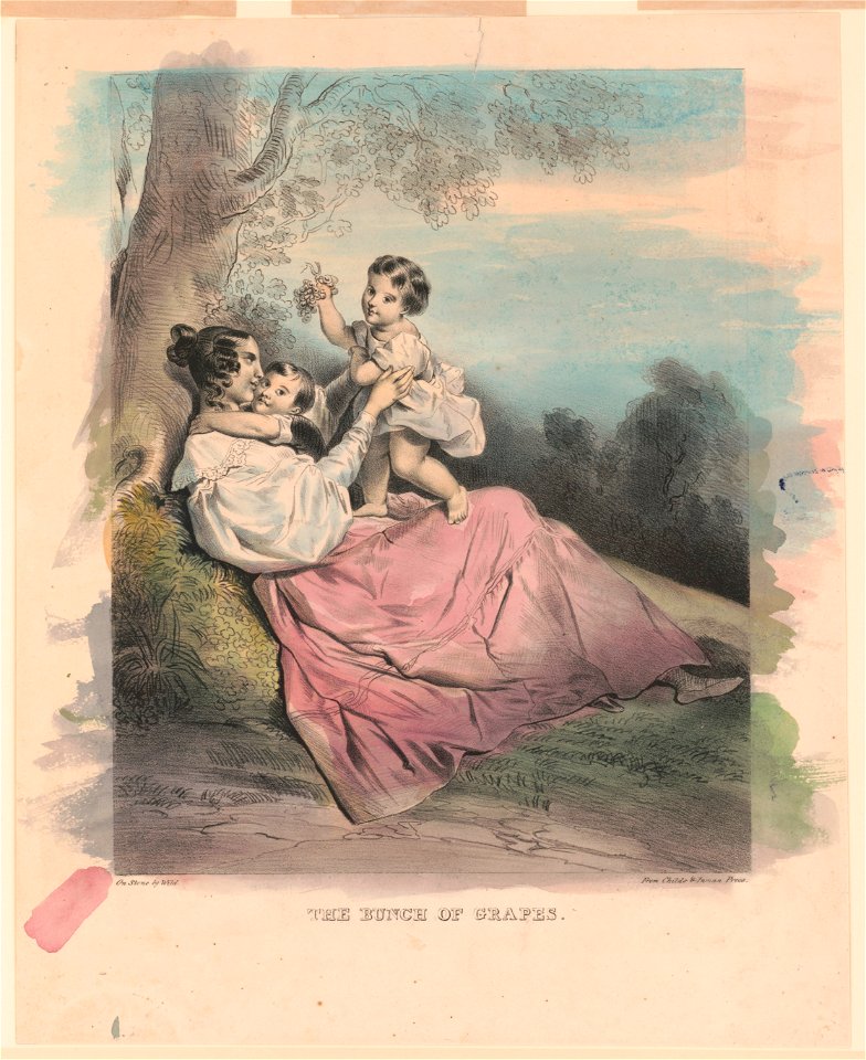 The bunch of grapes - On stone by Wild ; from Childs & Inman Press. LCCN2003681607