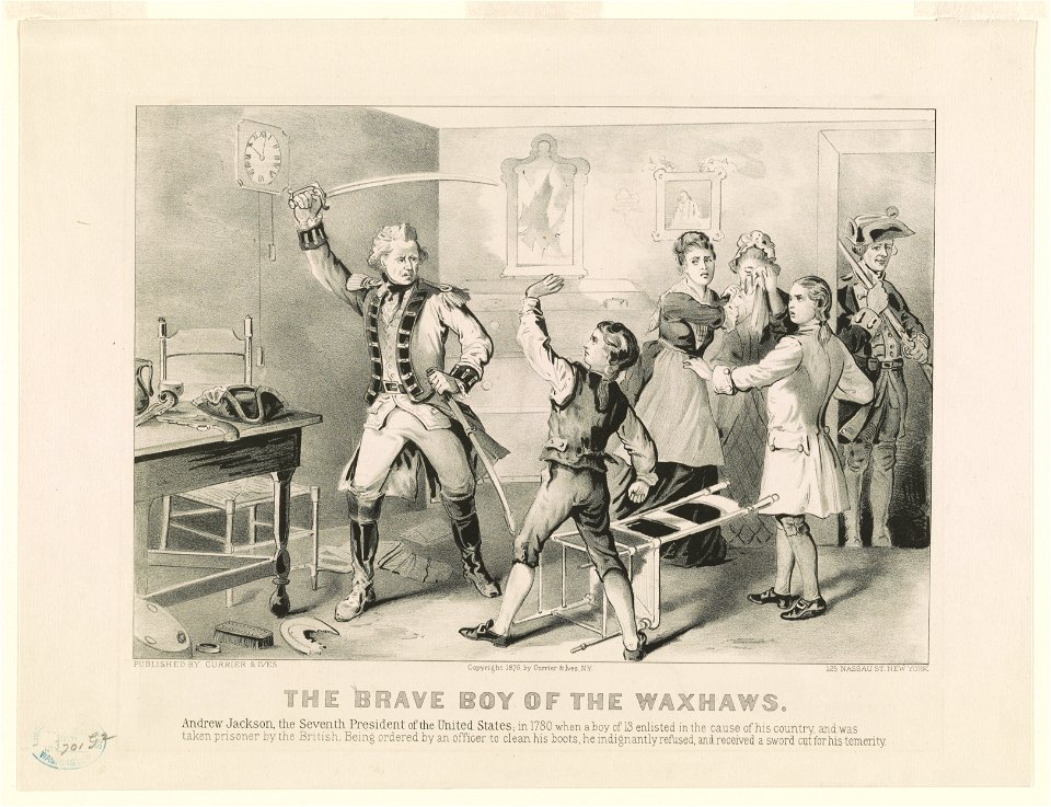 The brave boy of the Waxhaws LCCN90712373