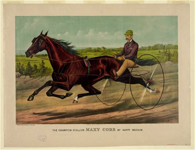 The champion Stallion Maxy Cobb by Happy Medium LCCN90715800