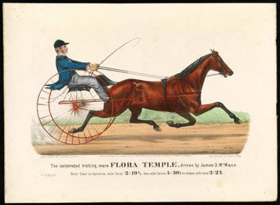 The Celebrated trotting mare Flora Temple, driven by James D. McMann- Best time in harness mile heat 2-19 3-4, two mile heats 4-50 1-2 to Wagon, mile heat 2-25 LCCN90715598. Free illustration for personal and commercial use.