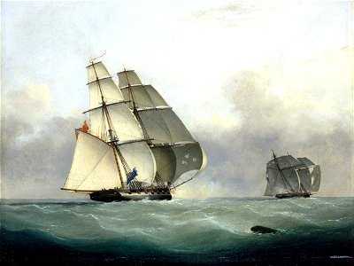 The Capture of the slaver Gabriel by HMS Acorn, 6 July 1841 RMG BHC0628