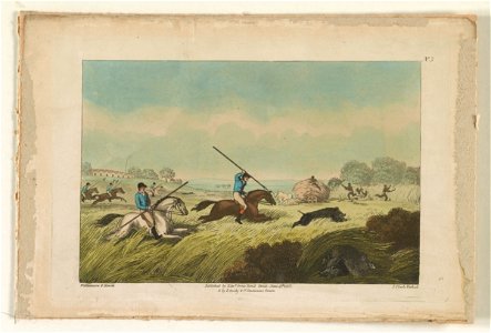 The chase after a hog) - Williamson & Howitt ; J. Clark etched LCCN2013646779