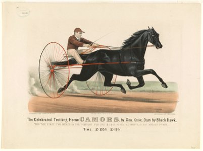 The celebrated trotting horse Camors, by the Gen. Knox, dam by Black Hawk- Won the first two heats in the contest for the $7,500 purse, at Buffalo, N.Y. August 7, 1874 LCCN90714366