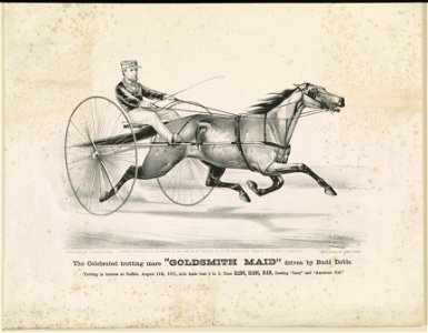 The celebrated trotting mare Goldsmith Maid driven by Budd Doble Trotting in harness at Buffalo, August 11th, 1871, mile heats best 3 in 5, time 2-19 3-4, 2-19 1-4, 2-19, beating Lucy LCCN90715601