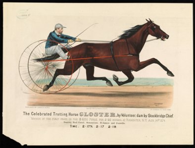 The celebrated trotting horse Gloster by volunteer, dam by Stockbridge Chief- Winner of the first prize in the $6,000 purse, for 2-20 horses, at Rochester, N.Y. Aug. 14th 1874 LCCN90714376