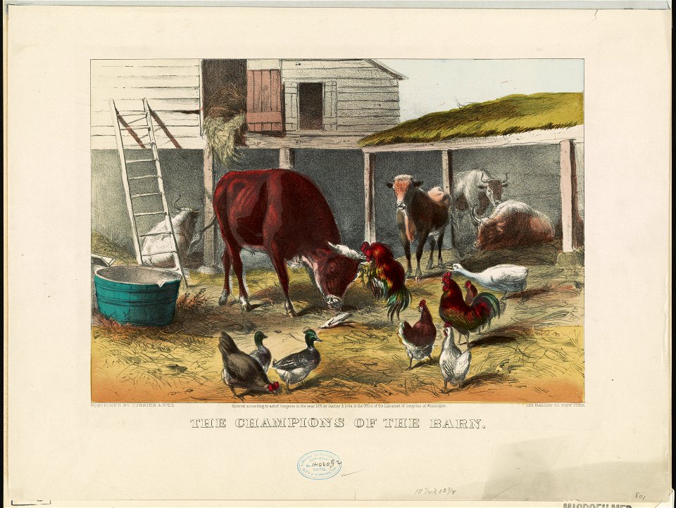 The champions of the barn LCCN90715788