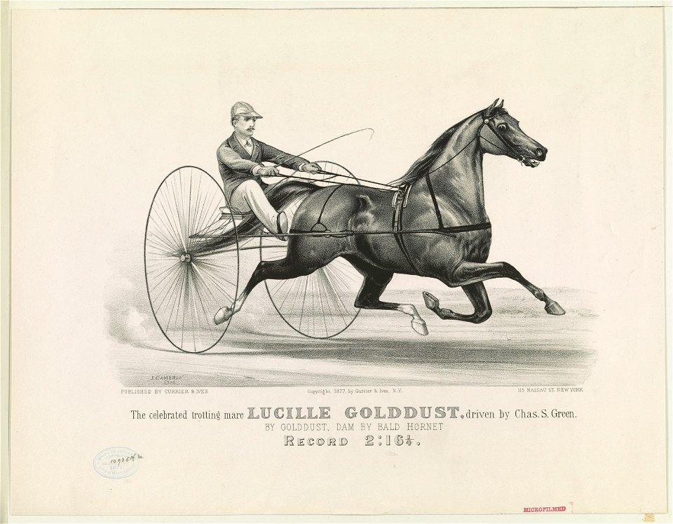The celebrated trotting mare Lucille Golddust, driven by Chas. S. Green- by Golddust, dam by Bald Hornet - record 2-16 1-4 LCCN90715610