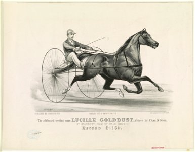 The celebrated trotting mare Lucille Golddust, driven by Chas. S. Green- by Golddust, dam by Bald Hornet - record 2-16 1-4 LCCN90715610