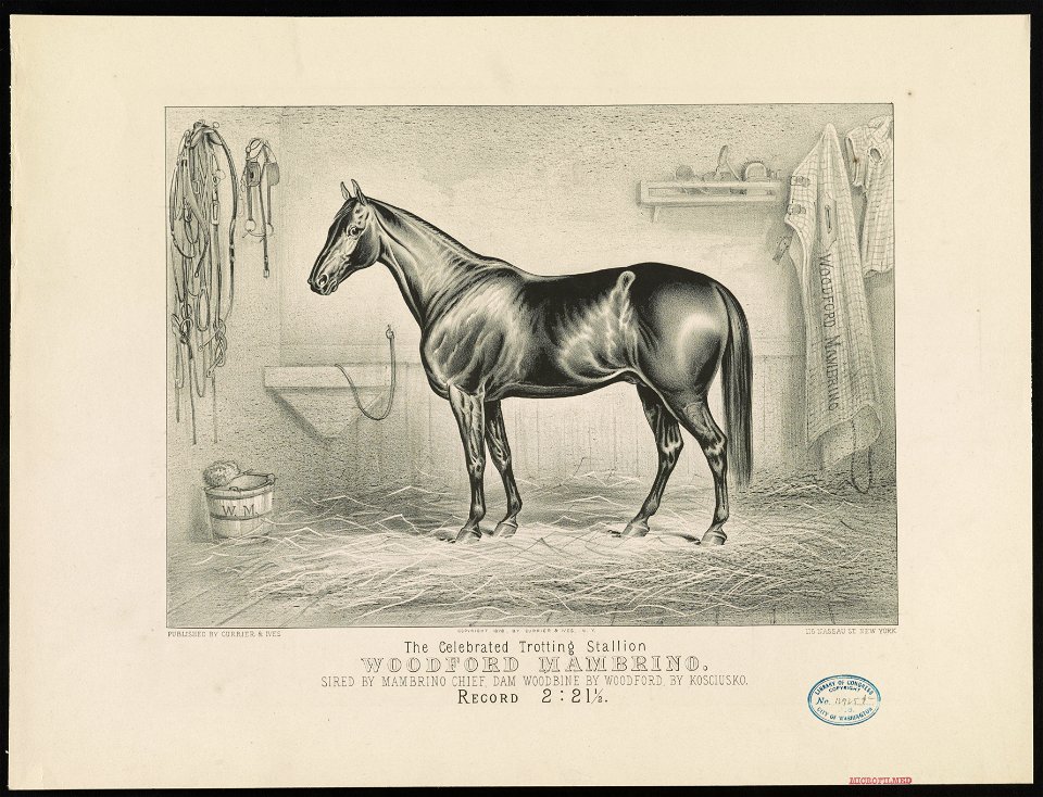 The celebrated trotting Stallion Woodford Mambrino- Sired by Mambrino Chief, dam Woodbine by Woodford, by Kosciusko LCCN90715698