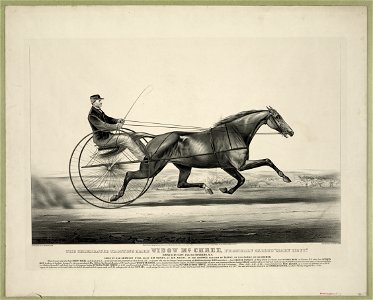 The celebrated trotting mare Widow McChree, formerly called Mary Hoyt- Owned by Capt. Isaiah Rynders, N.Y. sired by Old American Star, he by Sir Henry, by Sir Archy, by imp Diomed, her dam LCCN90715688