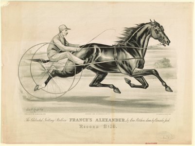 The celebrated trotting Stallion France's Alexander by Ben Patchen, dam by Canada Jack- Record 2-19 LCCN90715693