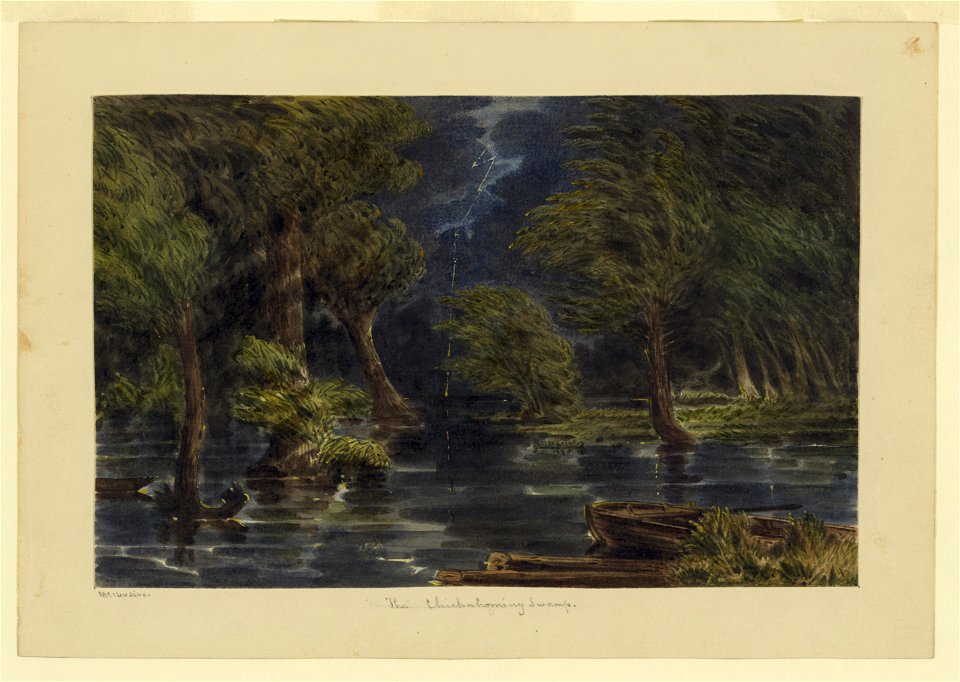 The Chickahominy Swamp LCCN2004661405