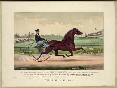 The champion trotting stallion Smuggler owned by H.S. Russell, Milton Mass.- By Blanco, dam by Herod's Tuckahoe. On the back stretch in the third heat Coming Away and winning the great LCCN90715841