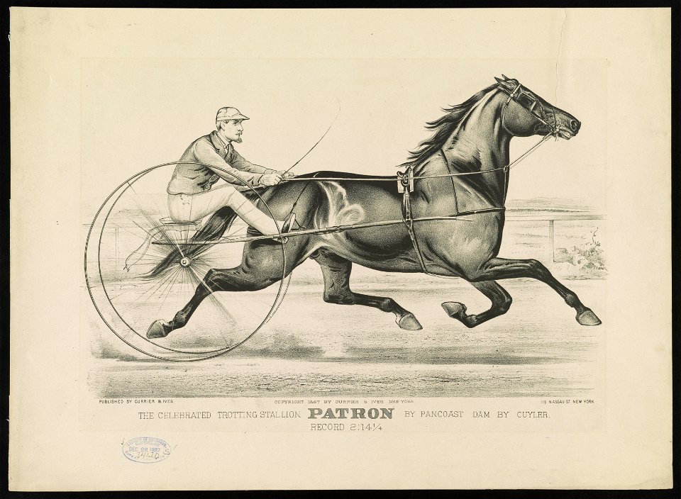 The Celebrated trotting Stallion Patron by Pancoast dam by Cuyler- Record 2-14 1-4 LCCN90715696