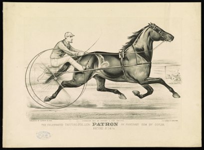 The Celebrated trotting Stallion Patron by Pancoast dam by Cuyler- Record 2-14 1-4 LCCN90715696