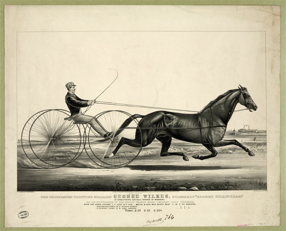 The celebrated trotting Stallion George Wilkes, formerly Robert Fillingham- by Hambletonian, dam Dolly Spanker, by Mambrino. As he appeared in his great Wagon Race against Lady Thorne. LCCN90715694