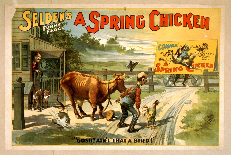 Selden's funny farce, A spring chicken LCCN2014636205