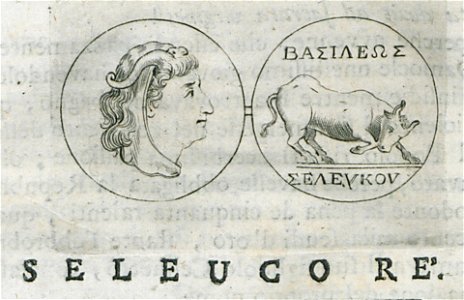 Seleuco rè - Fanelli Francesco - 1695