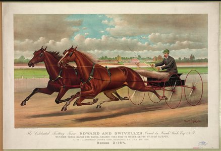 The celebrated trotting Team Edward and Swiveller, owned by Frank Work Esq. N.Y.- Winning their match for $1,000, against time 2-20 to Wagon, driven by John Murphy. At the gentlemen's LCCN90715703