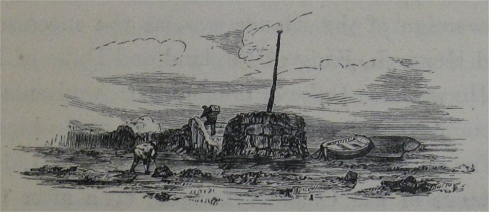 The Channel Islands 1862 Ansted Latham 17