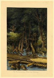 The Chickahominy - Alexanders Bridge - McIlvaine. LCCN2004661401