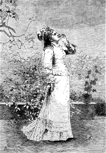 Serafín Avendaño, La última flor, 1879
