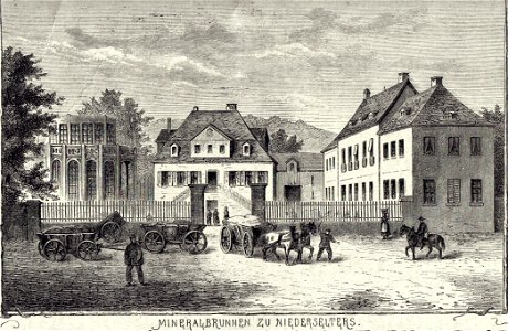 Seltersbrunnen 1873 001a