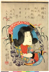 Series- E-kyodai mitate sanju bokuka sen 繪鏡臺見立三十木花撰 (Sibling Pictures- Parody of Thirty Selected Trees anf Flowers) (BM 2008,3037.12703)