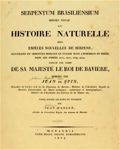 Serpentum Brasiliensium species novae (page 5 crop)