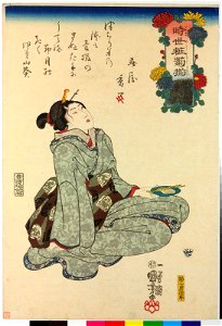 Series-Imayo kiku zoroi 時世粧菊揃(Modern Chrysanthemum Varieties) (BM 2008,3037.08902)