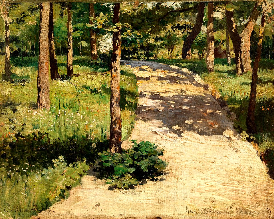 Sergey Vinogradov - Path through the Woods