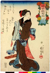 Series-Imayo kiku zoroi 時世粧菊揃(Modern Chrysanthemum Varieties) (BM 2008,3037.08903)