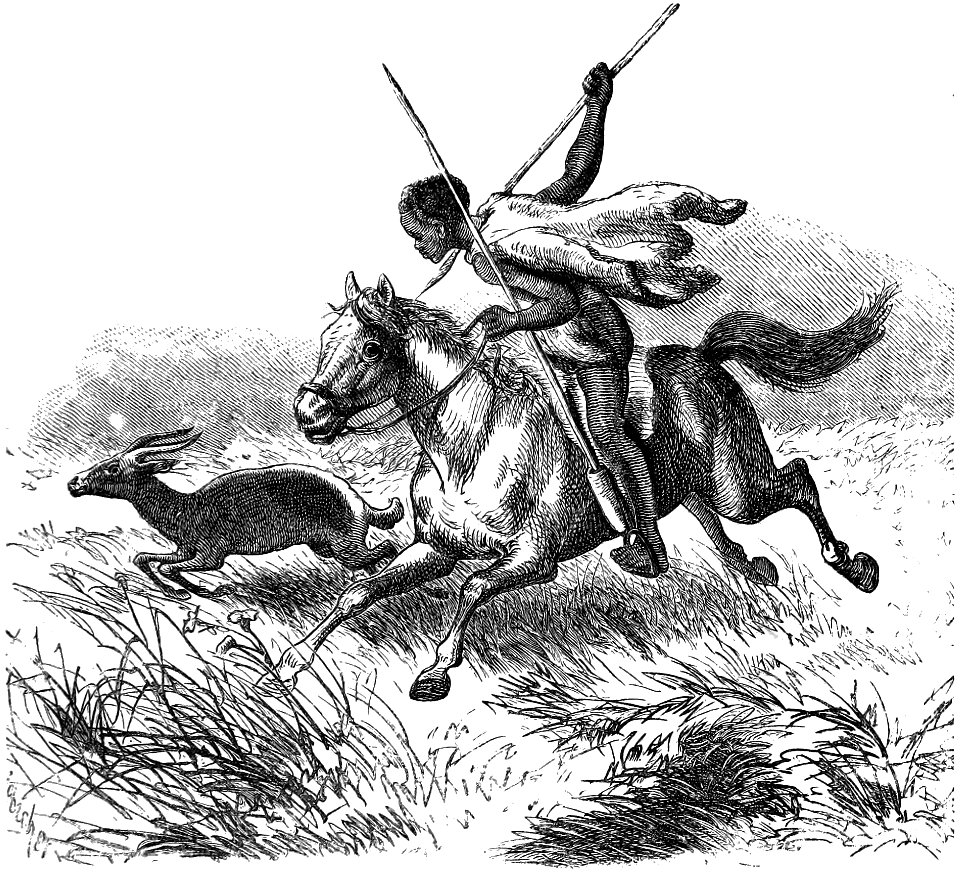 Seven Years in South Africa, page 259, a Yochom of the Kalahari chasing a blessbock