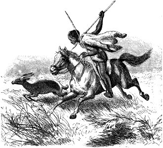 Seven Years in South Africa, page 259, a Yochom of the Kalahari chasing a blessbock
