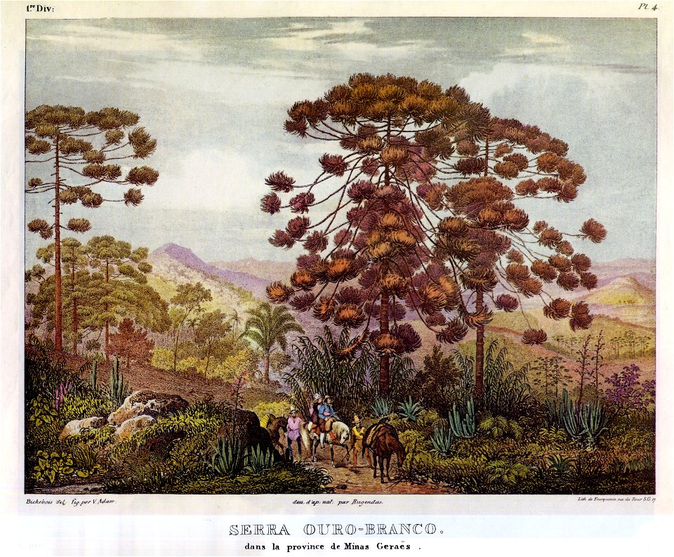 Serra Ouro-Branco