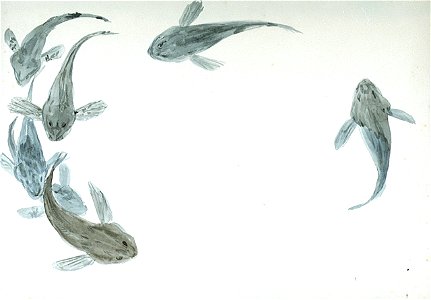 Seven fishes RMG PU0498