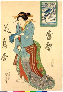 Series-Tosei kacho awase 當聖盛花鳥合(Modern Comparisons of Flowers and Birds) (BM 2008,3037.09001)