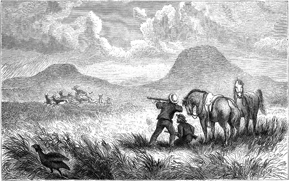 Seven Years in South Africa, page 33, springbok hunting