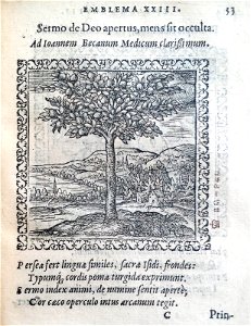Sermo de Deo apertus, mens sit occulta (BM 1972,U.11.27)