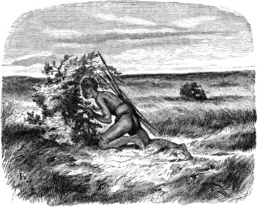 Seven Years in South Africa, page 353, mode of hunting among the Masarwas