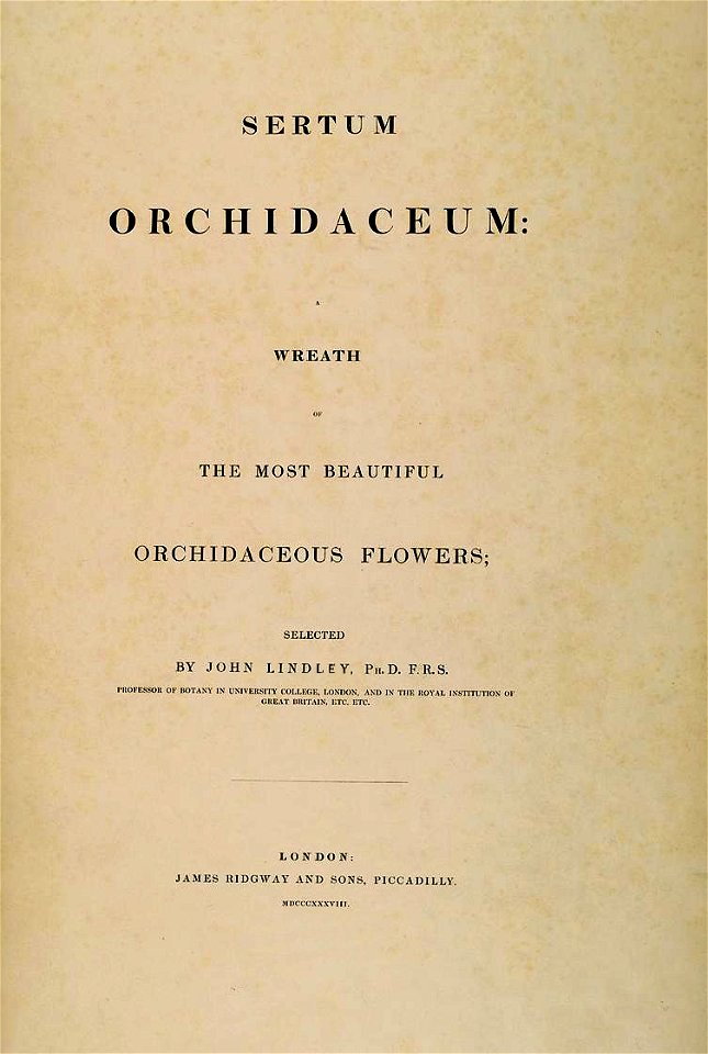 Sertum - Lindley - title page