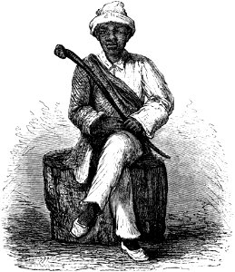 Seven Years in South Africa, page 197, Koranna