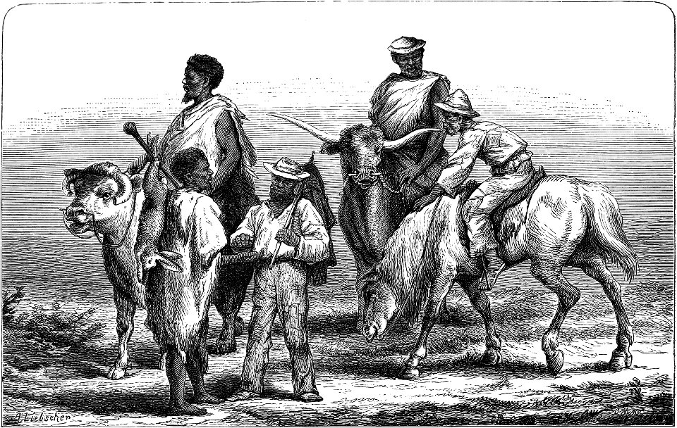 Seven Years in South Africa, page 126, Batlhapings on a journey